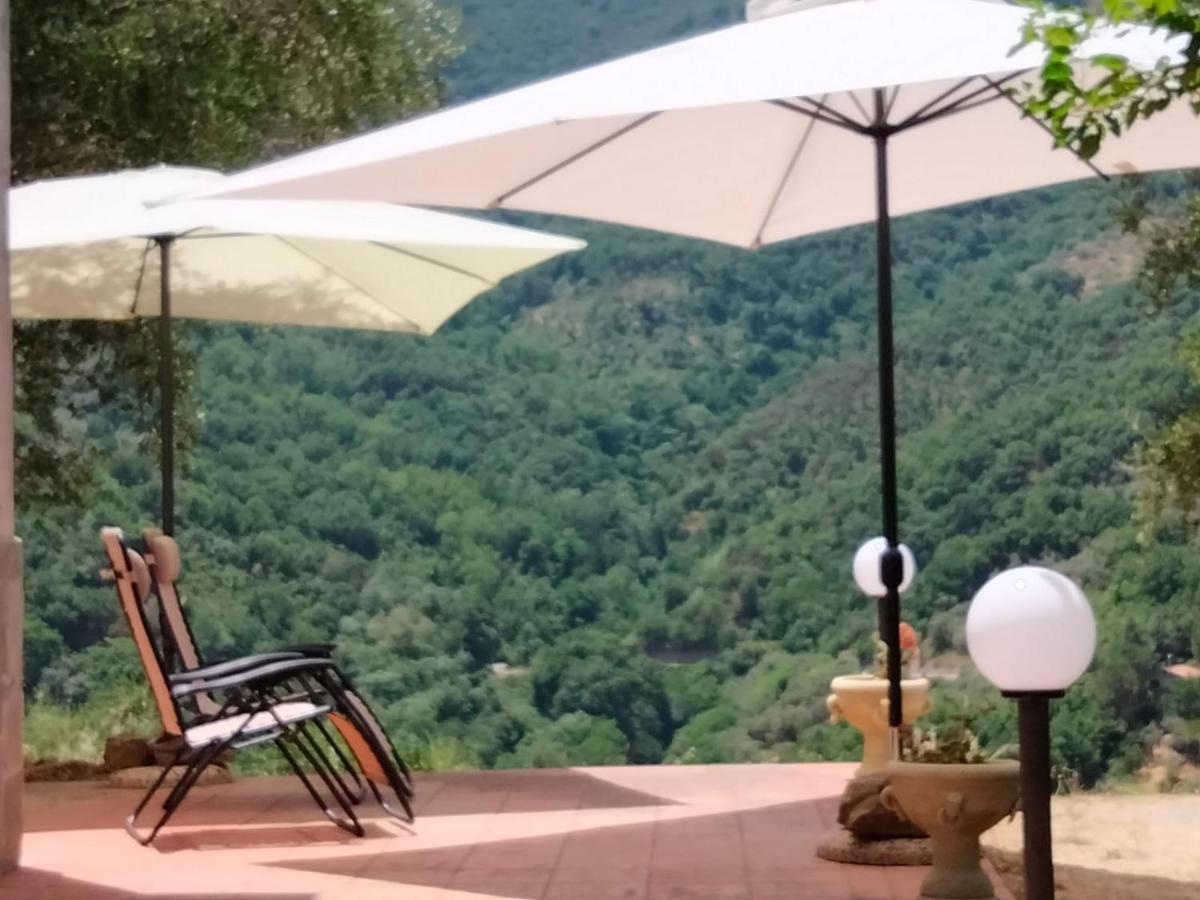 L'Antica Quercia B&B Castell'Umberto Экстерьер фото