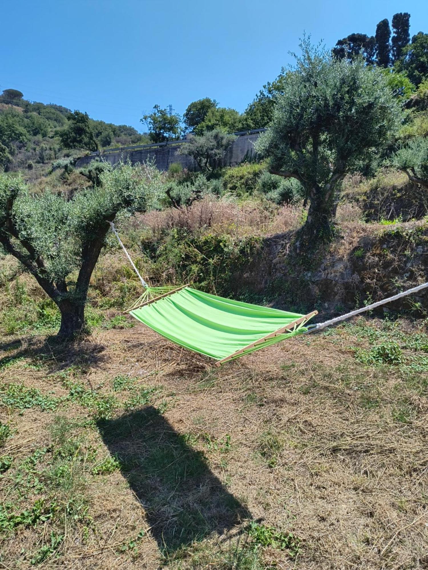 L'Antica Quercia B&B Castell'Umberto Экстерьер фото